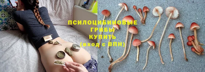 МЕГА ONION  Кыштым  Псилоцибиновые грибы Cubensis 